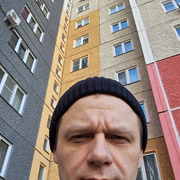 ����, 40 ���, ���������