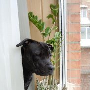 ����, 60 ���, ������-��-����