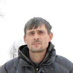 �����, ����, 46 ���