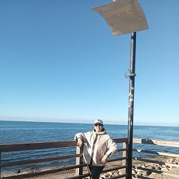 �����, �����������, 63 ����