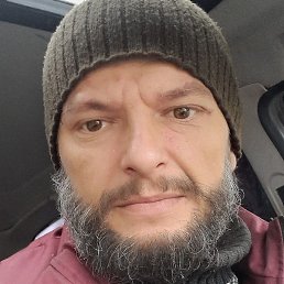 ����, �����-���������, 42 ����