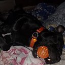 ���� ���������, �����, 39 ��� - ��������� 21 ������� 2026