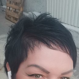 ��������, ���������, 51 ���