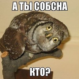 Andrey, ������