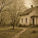 ���� �������, �����������, 37 ��� - ��������� 20 �������� 2025 � ������ ���� ����������