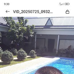 ���� ����, ���������, 36 ��� - ��������� 5 ����� 2026