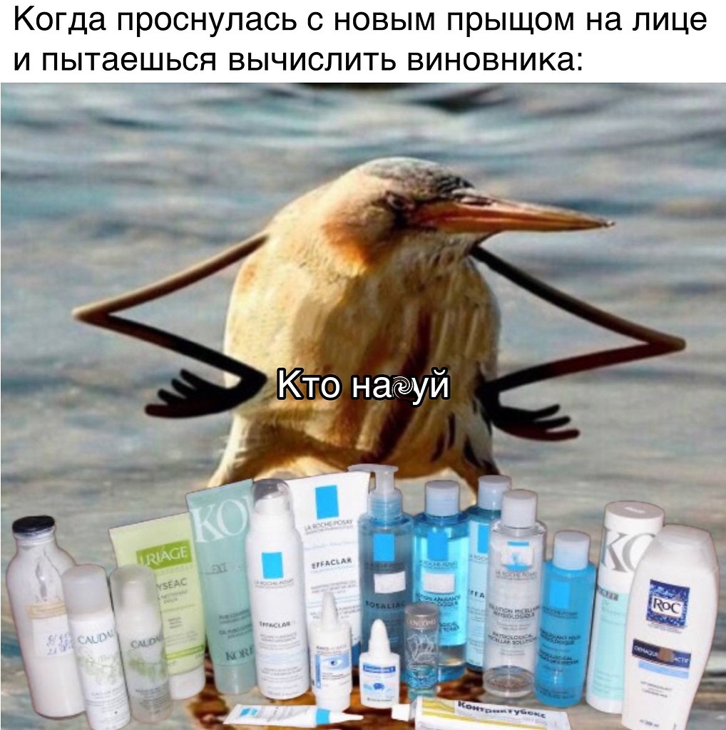  ,   ?
