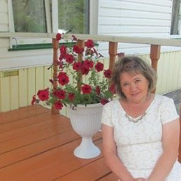 ���� ����, ������� - ��������� 20 ������ 2026