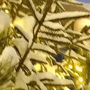 �����, , ������