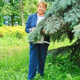 ��������, ������, 69 ���