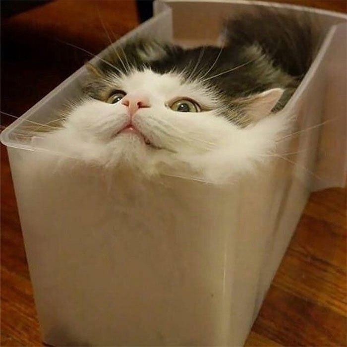      ,  