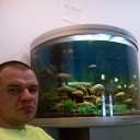 ���� �����, ����������, 45 ��� - ��������� 18 ������� 2026 � ������ ���� ����������