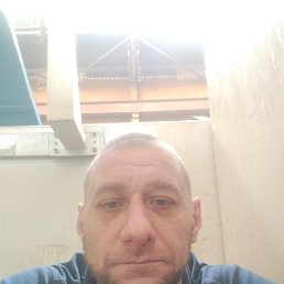 ����, 47 ���, ���������