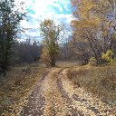 ���� ��������� ���������, ��������, 59 ��� - ��������� 25 ����� 2026 � ������ ���� ����������