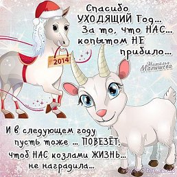 ����, ��������, 46 ���