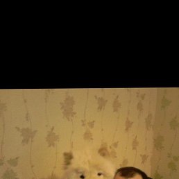 ���� ������, ������, 39 ��� - ��������� 29 ������� 2023