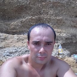 , 37, 