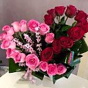 ���� ������, ������������ - ��������� 8 ����� 2026 � ������ ������ ��������