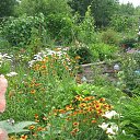 ���� �����, �������, 54 ���� - ��������� 4 ���� 2025 � ������ �����