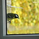 ���� Nika-z, ������-��� - ��������� 13 ������� 2024 � ������ ���� ����������