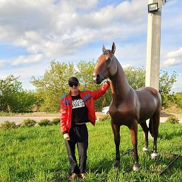 ����, ����