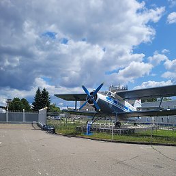 ���������, �������, 41 ���