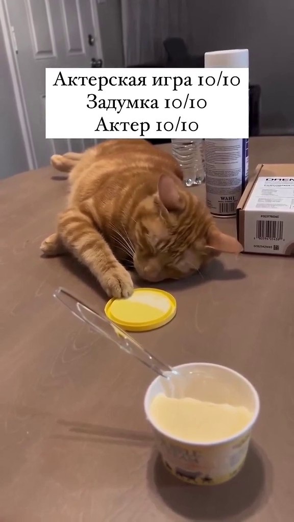 ������������� �� ������: 