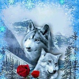 ����, ������, 58 ���