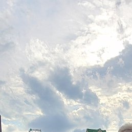 �����, �������, 67 ���