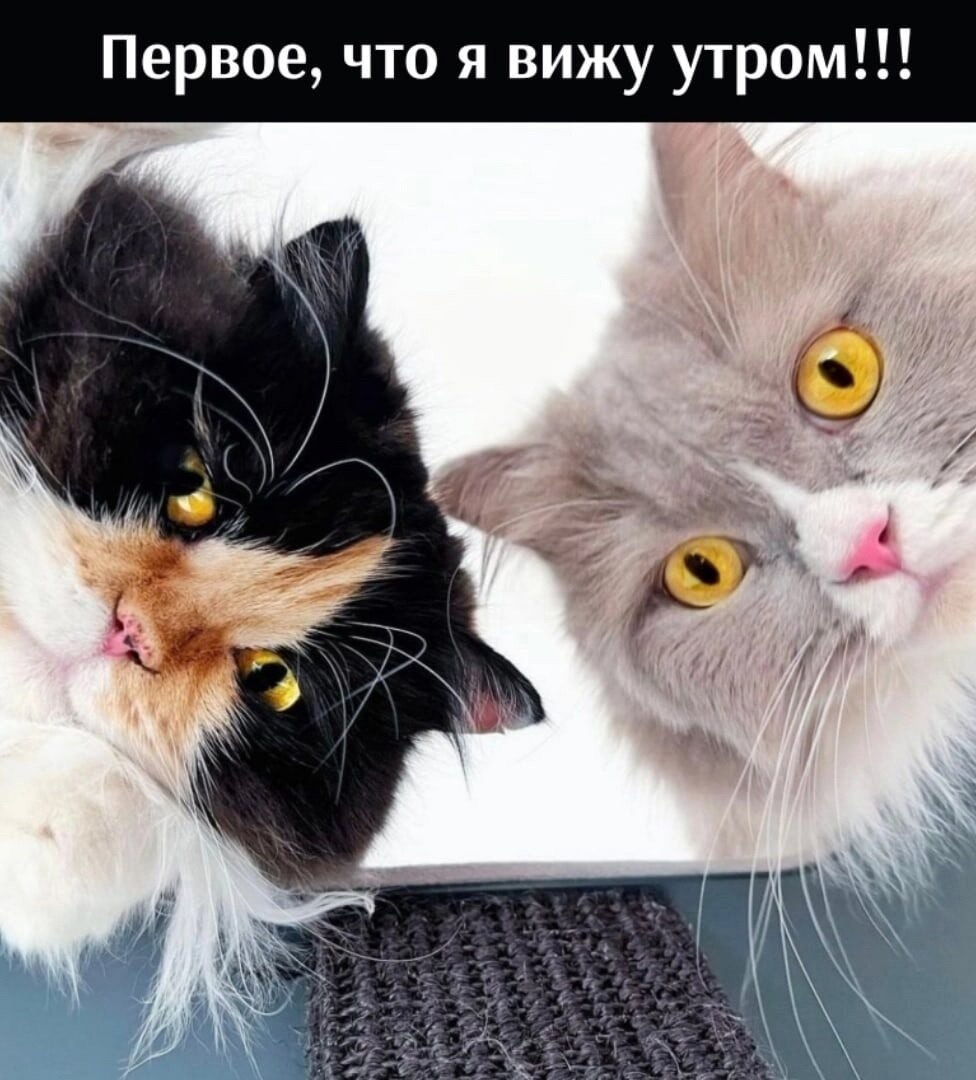  - 24  2025  03:35