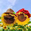 ���� �������, ���������� - ��������� 4 �������� 2025 � ������ ������ ��������