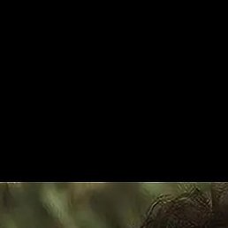 ����, ������, 19 ���