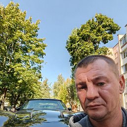 , 37, 