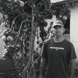 ���� Odinasho Sharipov, �������, 39 ��� - ��������� 5 ������ 2024