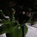���� ���������, ���������, 40 ��� - ��������� 17 ������� 2024