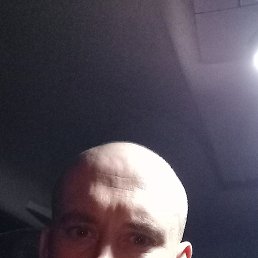 , 33, 