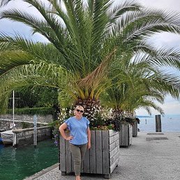 �����, ��������, 55 ���