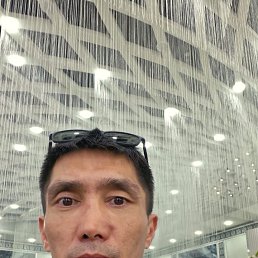 , 37, 