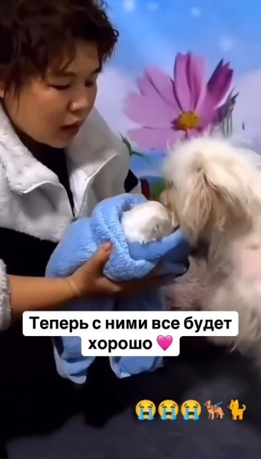    - 2
