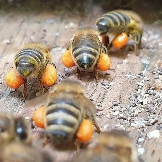 :) �� ���� � �����, ������� ������������ � ���� � �������. � ��� �� ������ ������ ���� ����������� ...