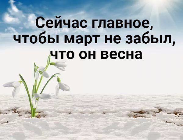 Геннадий - 21 марта 2025 в 15:26