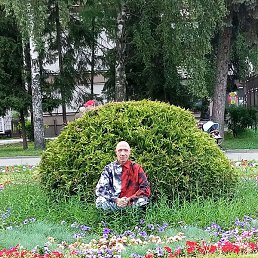 ��������, ���������, 46 ���