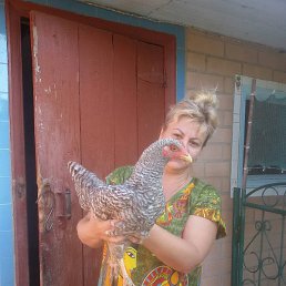 �������, ���������