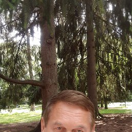 ����, 54 ����, ���������