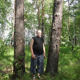 ��������, �����, 67 ���