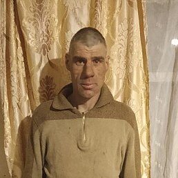 ����, ������������, 41 ���