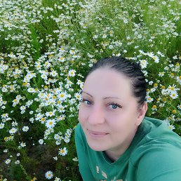 , 39, 