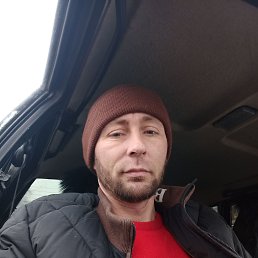 ���� �������, ������, 42 ���� - ��������� 4 ������ 2026