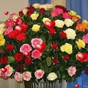 ���� ����, ������, 45 ��� - ��������� 16 ������� 2025 � ������ ���� ����������