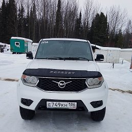 ���� ����, �����, 41 ��� - ��������� 15 ��� 2025